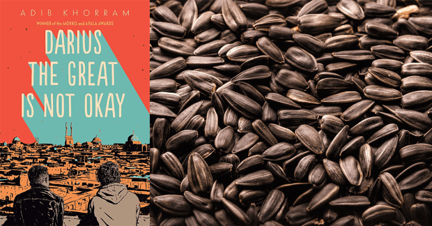 darius roasted sunflower seeds